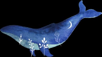 whale watercolour
