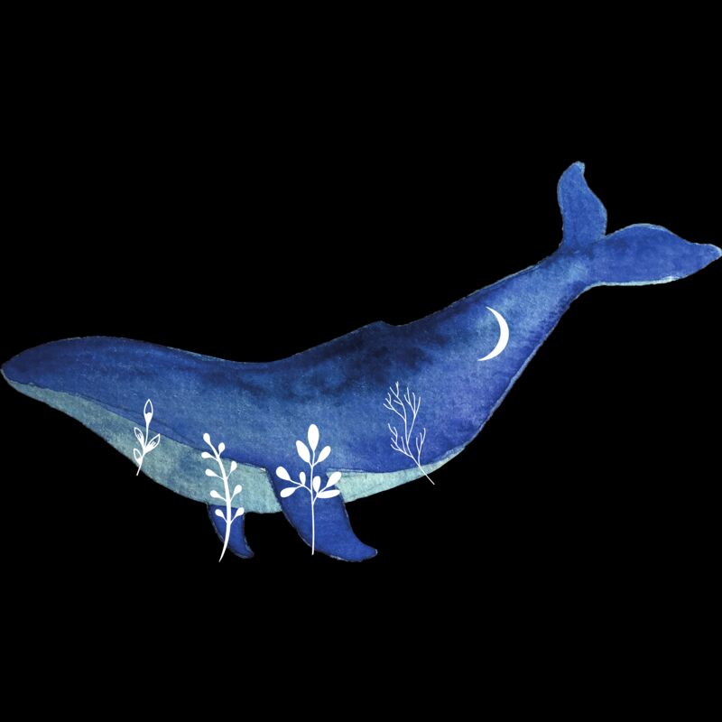 whale watercolour Thumbnail